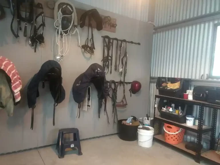 agistment_facilities_central_coast_1