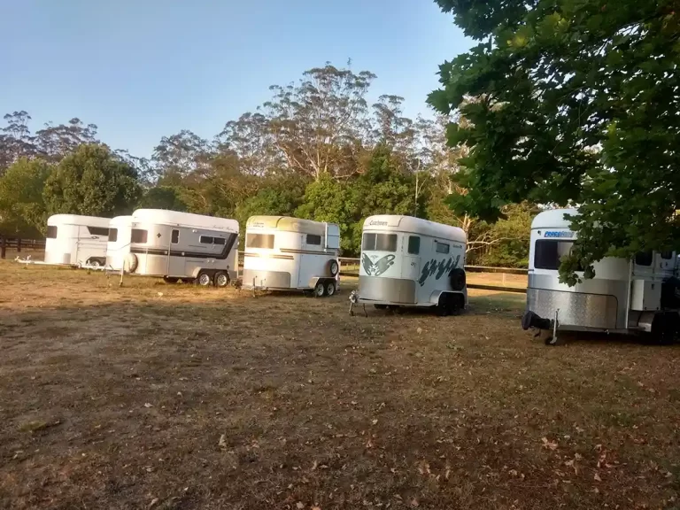 agistment_facilities_central_coast_3