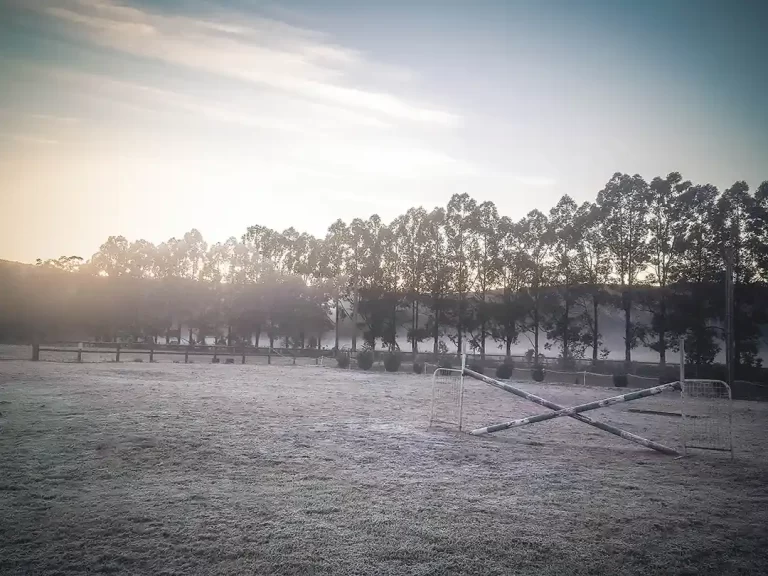 agistment_facilities_central_coast_4