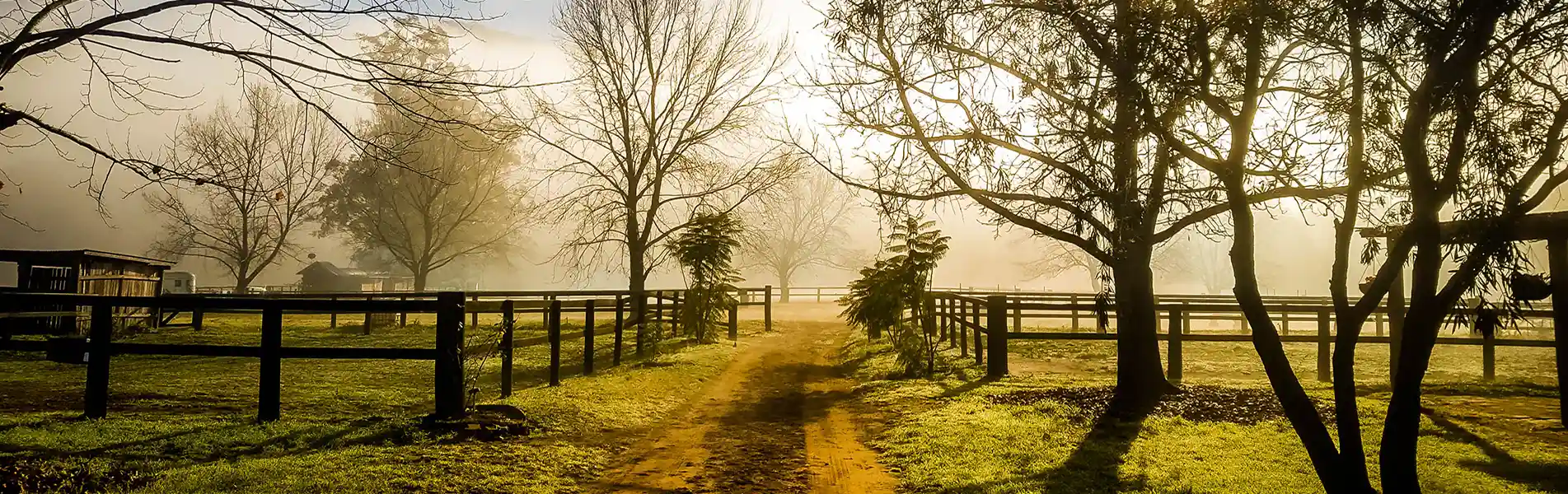 agistment_yarramalong_4